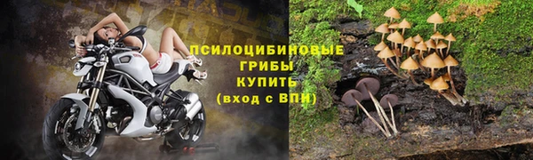 бошки Алексеевка