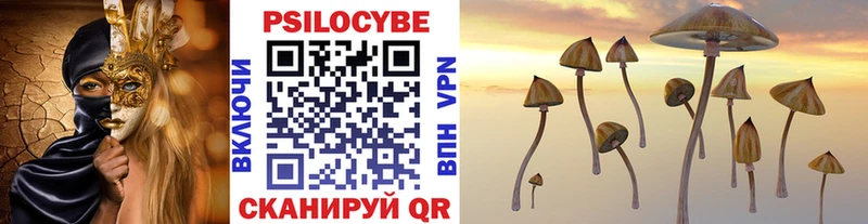 площадка состав  Искитим  Галлюциногенные грибы Cubensis 